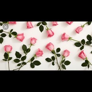 Meet your Posher, Ronda